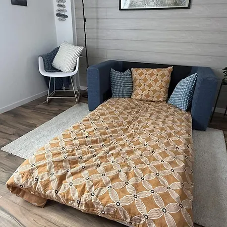 Nid Alsacien Cosy Et Climatise Entzheim