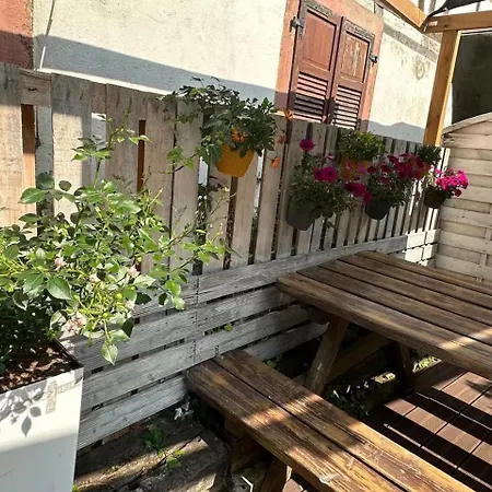 Nid Alsacien Cosy Et Climatise Apartamento